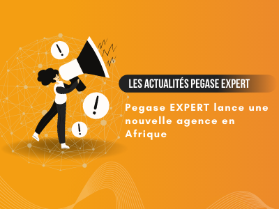 images article pegase-expert-lance-une-nouvelle-agence-en-afrique